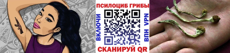 Псилоцибиновые грибы MAGIC MUSHROOMS Белоусово